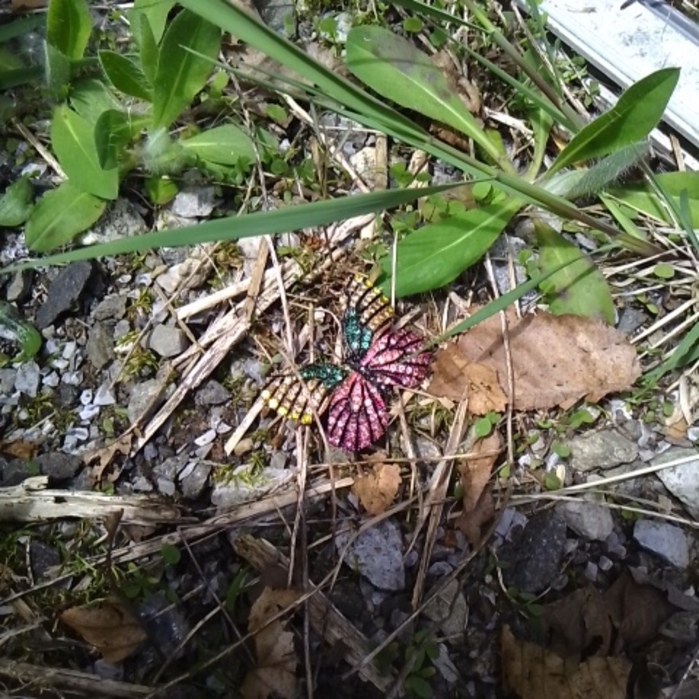 Butterfly Pin - Picture 5 of 5